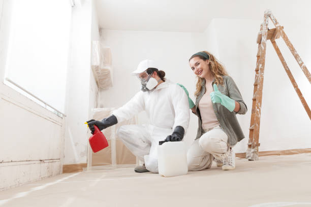 Best Mold Remediation for Healthcare Facilities  in Manchaca, TX